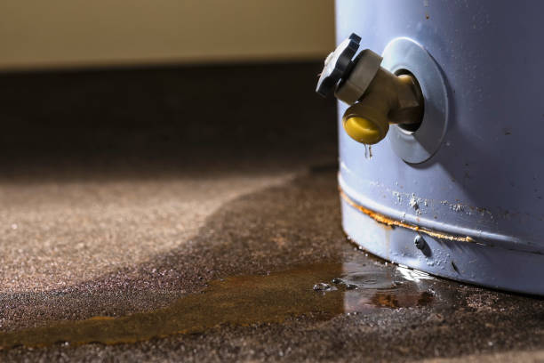 Best Water damage restoration near me  in Bemidji, MN