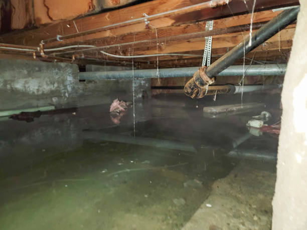 Best Ceiling water damage repair  in Bemidji, MN