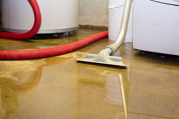 Best Residential water damage restoration  in Bemidji, MN