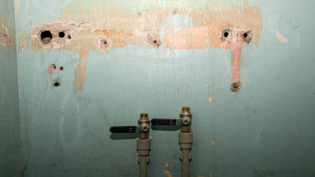 Best Fire Damage Restoration  in Bemidji, MN