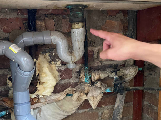 Best Water damage restoration near me  in Bemidji, MN