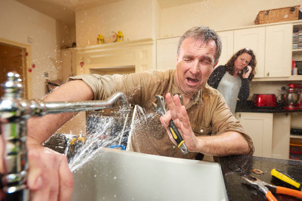 Best Water damage restoration near me  in Bemidji, MN